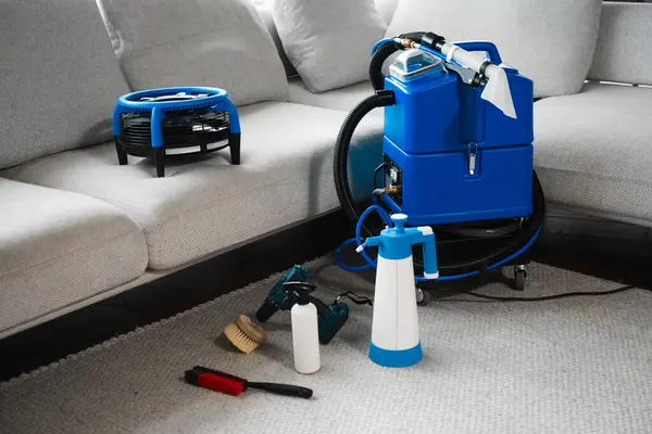 Stain and Odor Removal Philadelphia